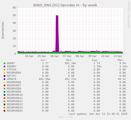 BIND_DNS [01] Opcodes In