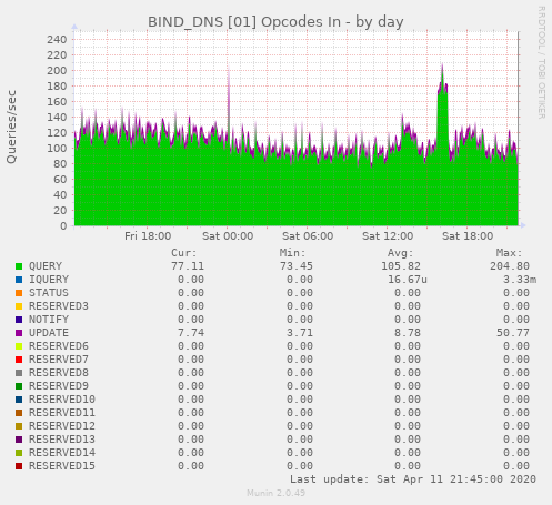 BIND_DNS [01] Opcodes In