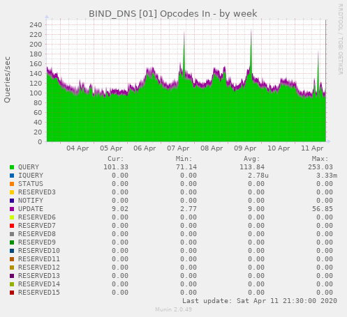 BIND_DNS [01] Opcodes In